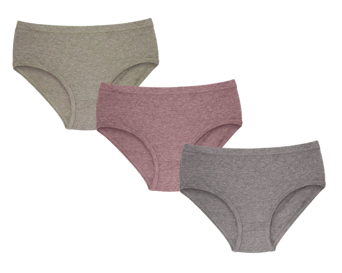 Sunny Panty (201 Panty) Pack of 3