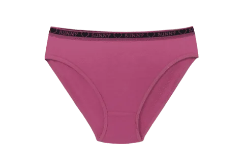 Sunny Interlock Plain Panty ( 204 ) Pack of 3