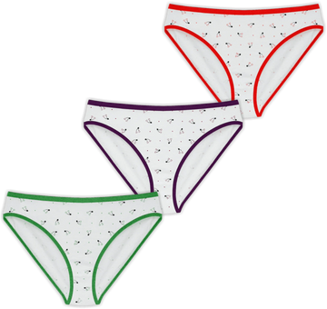 Sunny Ladies Bikini ( Kamya Bikini ) Pack of 3