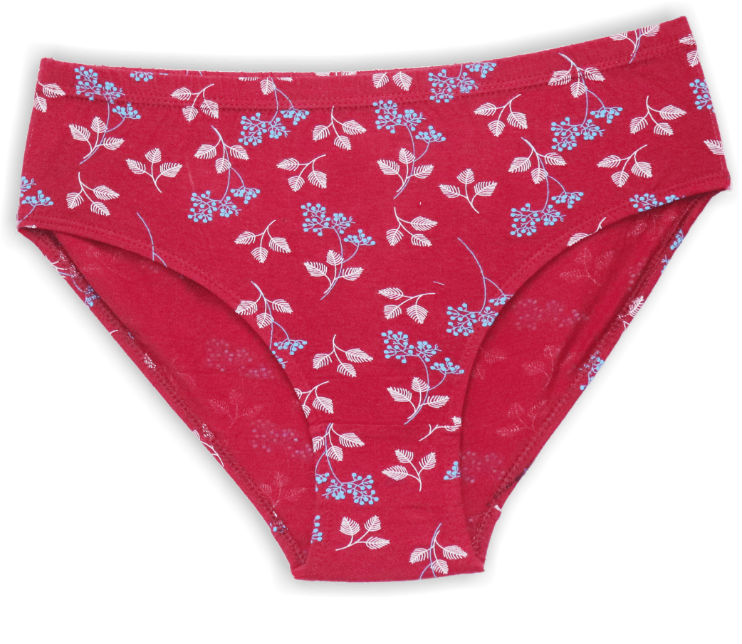 Sunny Panty (201 Panty) Pack Of 3 - Sunnylingeries